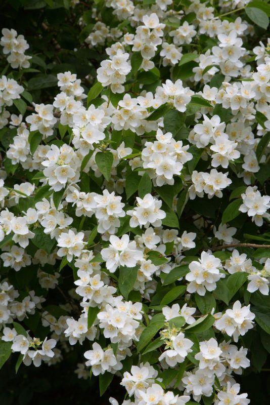 Corporate floral consultation example